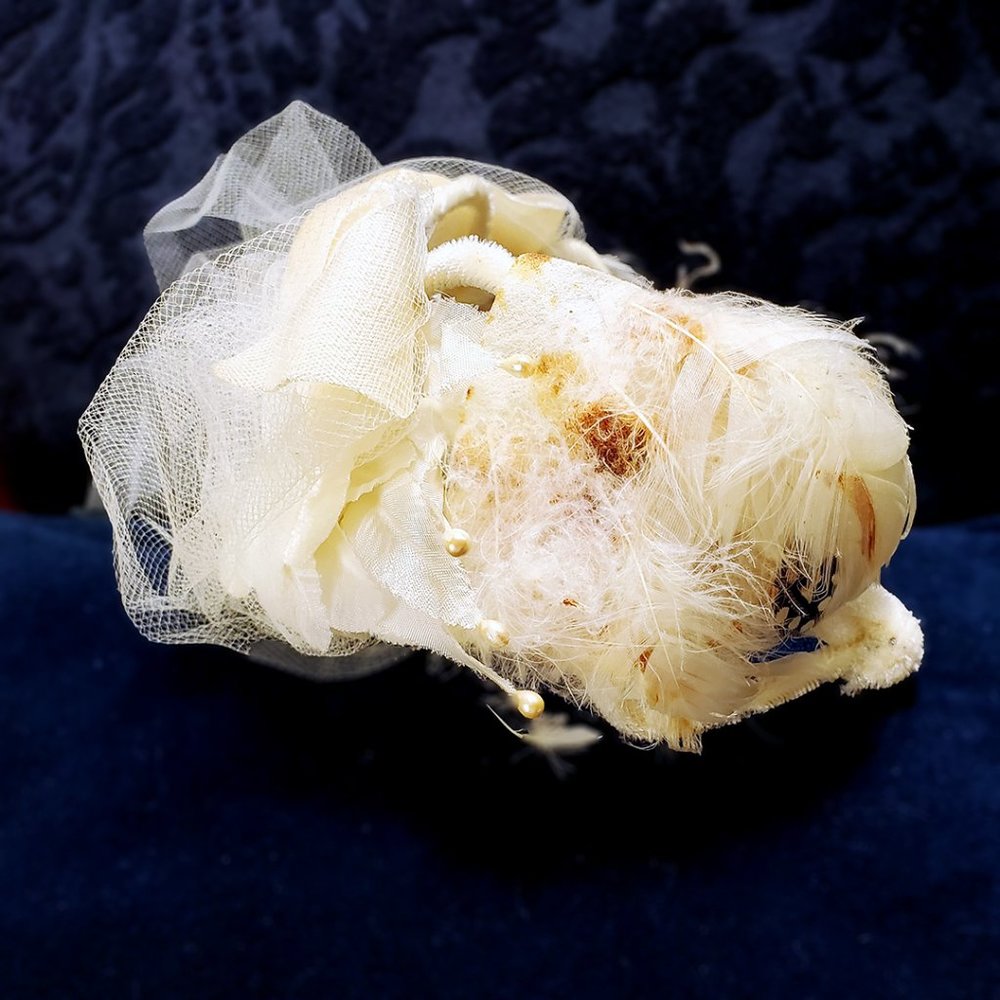 Vintage - 1954 Bridal Half-Hat With Original Box & Reciept - Picture 6 of 15